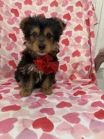 processed/29842ebf-eb62-4ff0-bb4e-a184498aef5b/listing/d46f609c-a38d-4828-b2cc-4fcedb70d4e4/f50f598c-49b1-490e-8305-5ee3fa8c65ac