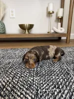 processed/298d4afe-3800-4c94-9622-ee46b7e1648e/listing/ddd3ef8e-2a2c-4a07-9096-69c97570f94b/4ed105f6-85ee-41a6-b888-a3a10bc75ab5