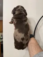 processed/298d4afe-3800-4c94-9622-ee46b7e1648e/listing/ddd3ef8e-2a2c-4a07-9096-69c97570f94b/681a1e66-2186-477b-85f5-ab250b16a6fe