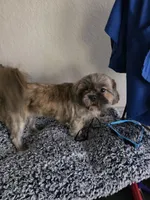 processed/299025a7-bff0-4774-b661-0e521304949d/listing/4604cb62-469c-47d0-8a76-541b6062030a/e54fc7ef-9a1f-41f3-b07d-1eb08128b3ee