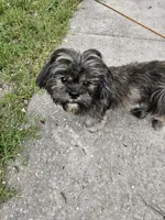 processed/299025a7-bff0-4774-b661-0e521304949d/listing/98af23cd-8608-40e2-ab03-119928b18690/140c5c20-66a2-40bc-97eb-e2f4f869caf1