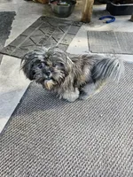 processed/299025a7-bff0-4774-b661-0e521304949d/listing/98af23cd-8608-40e2-ab03-119928b18690/6e1a0c71-4fab-4480-a519-d5970522ee39