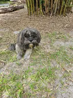 processed/299025a7-bff0-4774-b661-0e521304949d/listing/98af23cd-8608-40e2-ab03-119928b18690/8e6505d6-ec3c-48bc-a0ac-82ea2d7ba831