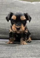 processed/29938e91-0527-434c-a363-447db062ed07/listing/f21e599e-abd2-4542-ba72-6b56a807b2c9/1943c57f-fded-4326-a392-c7df2b0c0da3