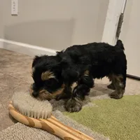 processed/29938e91-0527-434c-a363-447db062ed07/listing/f21e599e-abd2-4542-ba72-6b56a807b2c9/28bbfdd3-0a5c-46a8-b8e1-33812655f389