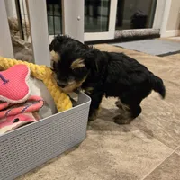 processed/29938e91-0527-434c-a363-447db062ed07/listing/f21e599e-abd2-4542-ba72-6b56a807b2c9/896c679e-6e9e-4732-a006-a0e8bd99afcd