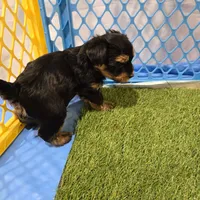 processed/29938e91-0527-434c-a363-447db062ed07/listing/f21e599e-abd2-4542-ba72-6b56a807b2c9/e36462a6-2742-4f57-89ce-6f4650dfa704