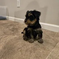 processed/29938e91-0527-434c-a363-447db062ed07/listing/f21e599e-abd2-4542-ba72-6b56a807b2c9/fafa3bc7-fe62-406a-bf82-9955ee9c79ee