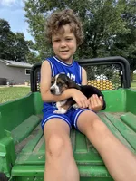 Tiny Tina, a female Basset Hound for sale in Nokomis, IL – 5 of 5