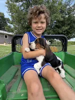 June, a female Basset Hound for sale in Nokomis, IL – 5 of 5