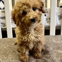 processed/299b408b-83c5-40fd-87d9-472ff2348f38/facility/1d95a2f9-dae6-49f6-ac23-d354f894ee1c