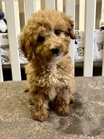 processed/299b408b-83c5-40fd-87d9-472ff2348f38/facility/1d95a2f9-dae6-49f6-ac23-d354f894ee1c