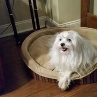 processed/299b408b-83c5-40fd-87d9-472ff2348f38/facility/72397ec1-fc1d-46a4-8530-905c6d5b9fb6