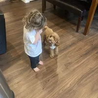 processed/299b408b-83c5-40fd-87d9-472ff2348f38/facility/84463872-d185-4d1f-826d-44d57c90b2c1