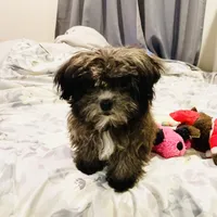 processed/299b408b-83c5-40fd-87d9-472ff2348f38/facility/e6795787-8401-4e8f-8430-0f0aa9ca015c