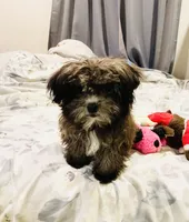 processed/299b408b-83c5-40fd-87d9-472ff2348f38/facility/e6795787-8401-4e8f-8430-0f0aa9ca015c