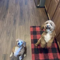 processed/299b408b-83c5-40fd-87d9-472ff2348f38/facility/f580f356-0e60-4e4a-826c-8d24b1b67144