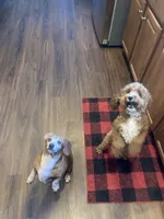 processed/299b408b-83c5-40fd-87d9-472ff2348f38/facility/f580f356-0e60-4e4a-826c-8d24b1b67144