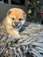 processed/299b408b-83c5-40fd-87d9-472ff2348f38/listing/391efb15-5bca-42da-86d5-0206ee07dd04/5599590b-1f73-4c42-aa58-9dca90403fc6