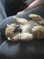 processed/299b408b-83c5-40fd-87d9-472ff2348f38/listing/391efb15-5bca-42da-86d5-0206ee07dd04/c8b57222-84a8-433d-b507-0e232526d8bf