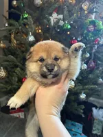 processed/299b408b-83c5-40fd-87d9-472ff2348f38/listing/391efb15-5bca-42da-86d5-0206ee07dd04/f5531675-3360-4467-a81f-2413976a2c5f