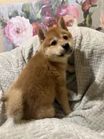 processed/299b408b-83c5-40fd-87d9-472ff2348f38/listing/d71cb795-90ba-43a0-85a3-3fef3e878a7d/d3c4e440-7b83-4b7f-bc81-e877a10e3bfe