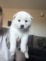 processed/299b408b-83c5-40fd-87d9-472ff2348f38/listing/e0325868-2f92-44ba-b42c-5395fbcf565f/0e582159-08fd-42c9-936e-c65f81b34fa4