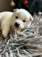 processed/299b408b-83c5-40fd-87d9-472ff2348f38/listing/e0325868-2f92-44ba-b42c-5395fbcf565f/4095d76b-c9ea-4a1a-9d92-2619cb97f60b