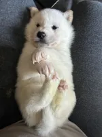 processed/299b408b-83c5-40fd-87d9-472ff2348f38/listing/e0325868-2f92-44ba-b42c-5395fbcf565f/61b07781-e57a-477a-be43-7908435f7c66