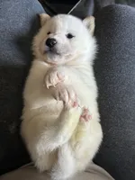 processed/299b408b-83c5-40fd-87d9-472ff2348f38/listing/e0325868-2f92-44ba-b42c-5395fbcf565f/9d249b6e-fe46-469c-8015-ec3e6419b46b