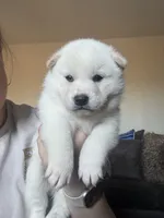 processed/299b408b-83c5-40fd-87d9-472ff2348f38/listing/e0325868-2f92-44ba-b42c-5395fbcf565f/d606d7dc-918c-48a7-8e79-d4a6c0d4a09b