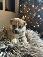 processed/299b408b-83c5-40fd-87d9-472ff2348f38/listing/fd8d8765-555d-42e3-b1d2-3c67bec8dfa1/55ca1bb7-9478-4480-827a-81b65ca69b03