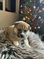 processed/299b408b-83c5-40fd-87d9-472ff2348f38/listing/fd8d8765-555d-42e3-b1d2-3c67bec8dfa1/5e9fd037-c6ea-4d47-8578-e8db5c52dfb6