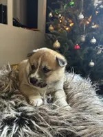 processed/299b408b-83c5-40fd-87d9-472ff2348f38/listing/fd8d8765-555d-42e3-b1d2-3c67bec8dfa1/7c8b3620-fe10-4f2a-b4b2-9438a5cd5999