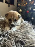 processed/299b408b-83c5-40fd-87d9-472ff2348f38/listing/fd8d8765-555d-42e3-b1d2-3c67bec8dfa1/8562fe06-7e51-4335-9090-443f2045fe39