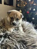 processed/299b408b-83c5-40fd-87d9-472ff2348f38/listing/fd8d8765-555d-42e3-b1d2-3c67bec8dfa1/8a18a47e-8109-40f4-911e-c1fd5fc78437