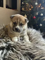 processed/299b408b-83c5-40fd-87d9-472ff2348f38/listing/fd8d8765-555d-42e3-b1d2-3c67bec8dfa1/bcd8f3e0-6181-4475-9b27-e284224057b8