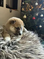 processed/299b408b-83c5-40fd-87d9-472ff2348f38/listing/fd8d8765-555d-42e3-b1d2-3c67bec8dfa1/f5e1a1b1-3b0f-4717-9c77-b86f0dd622d9