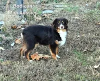 processed/29a1cfa2-510e-4076-a4f6-7051c8bdd311/listing/310d7caf-722a-4e80-aa16-3df9cde09c54/47e5f0ac-a423-4f05-b3f2-2faf32e0d7cf