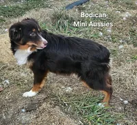 processed/29a1cfa2-510e-4076-a4f6-7051c8bdd311/listing/310d7caf-722a-4e80-aa16-3df9cde09c54/644c765a-aaef-4fe0-b152-c658e1296eb3