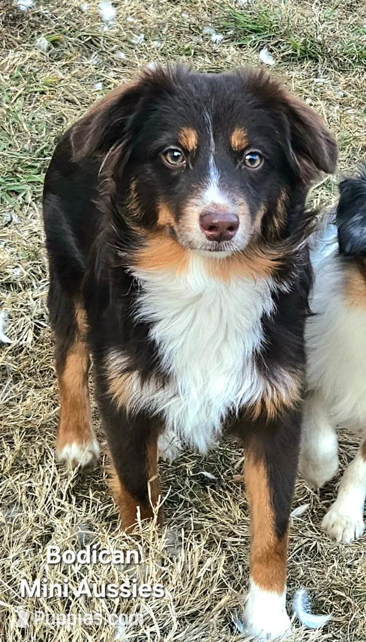 processed/29a1cfa2-510e-4076-a4f6-7051c8bdd311/listing/310d7caf-722a-4e80-aa16-3df9cde09c54/acef2e95-7ea0-4046-9e44-ae71f47f1eb9