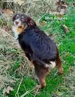 processed/29a1cfa2-510e-4076-a4f6-7051c8bdd311/listing/310d7caf-722a-4e80-aa16-3df9cde09c54/c81cfcc9-37f7-4740-a50a-0cc125fbc01c