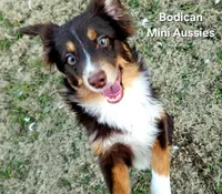 processed/29a1cfa2-510e-4076-a4f6-7051c8bdd311/listing/310d7caf-722a-4e80-aa16-3df9cde09c54/d5dc416b-4417-4219-af3f-3ab9d26b0da6