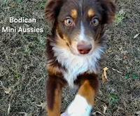 processed/29a1cfa2-510e-4076-a4f6-7051c8bdd311/listing/310d7caf-722a-4e80-aa16-3df9cde09c54/f72495c3-8f11-459d-973e-d3a62fcdc8e4