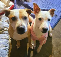 processed/29a1cfa2-510e-4076-a4f6-7051c8bdd311/listing/9c92a059-277c-41cf-8434-5f3978110c5a/1daf3d4f-281e-4947-9fdd-e32d8f570ab5