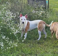 processed/29a1cfa2-510e-4076-a4f6-7051c8bdd311/listing/9c92a059-277c-41cf-8434-5f3978110c5a/f6920426-79df-45c2-82d5-3918aa83d419