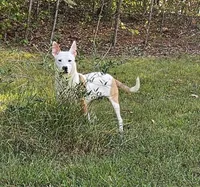 processed/29a1cfa2-510e-4076-a4f6-7051c8bdd311/listing/9c92a059-277c-41cf-8434-5f3978110c5a/f6a85d00-51a6-4be2-8f9c-784e29ad927d