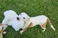 processed/29a1cfa2-510e-4076-a4f6-7051c8bdd311/listing/9c92a059-277c-41cf-8434-5f3978110c5a/f75b9b4a-9738-45a0-8165-dd2acb627fae