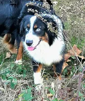 processed/29a1cfa2-510e-4076-a4f6-7051c8bdd311/listing/b4f2deed-bc48-43b2-85a2-cb3fbef3d19f/0dc04c0c-6392-48bf-aa06-765ac0812396