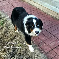 processed/29a1cfa2-510e-4076-a4f6-7051c8bdd311/listing/b4f2deed-bc48-43b2-85a2-cb3fbef3d19f/244f7e4b-f7de-4199-afd6-f7cdd005ff53